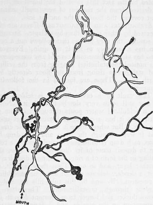 Map of a part of the Mammoth Cave (shaded parts are at low level).