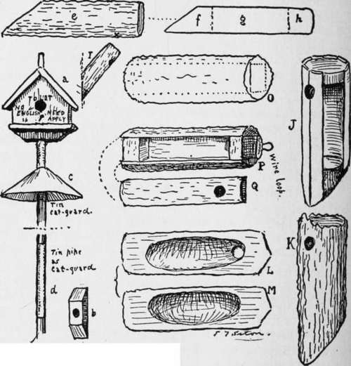 Bird Boxes Or Houses 145