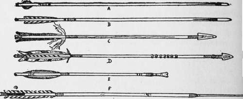 Six Sample Arrows, Showing Different Feathers.