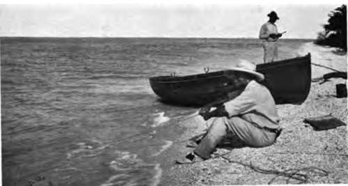 Fishing For Shark-florida