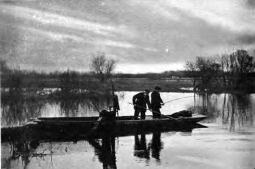 Paternoster Fishing For Perch.