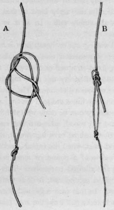 RUNNING LINE ATTACHED TO FLY CASTS OR WHIFFING SNOODS BY FIGURE OF EIGHT KNOT.