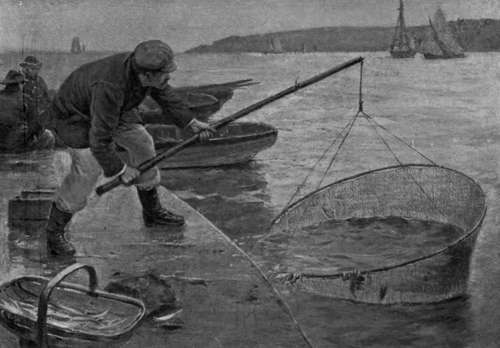 SMELT FISHING FROM THE CUSTOM HOUSE PIER AT COWES.