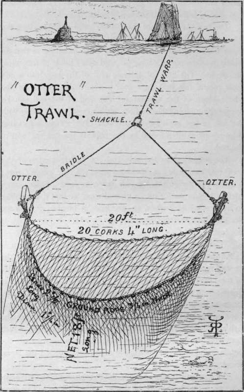 THE OTTER TRAWL.
