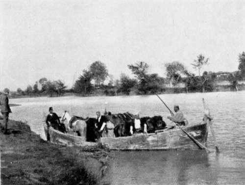 Albanian Ferry