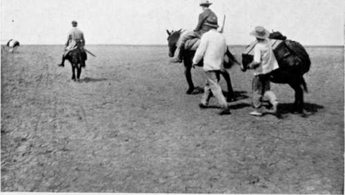 Crossing The Dried Up Marisma