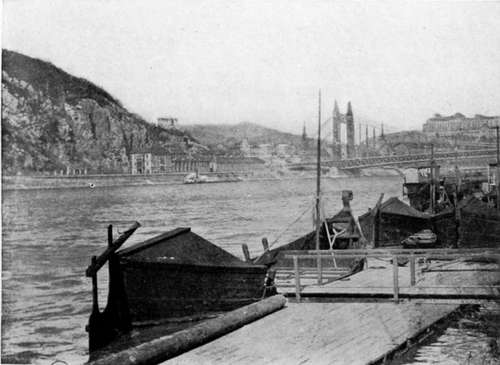 Fish boats off the quay, budapest