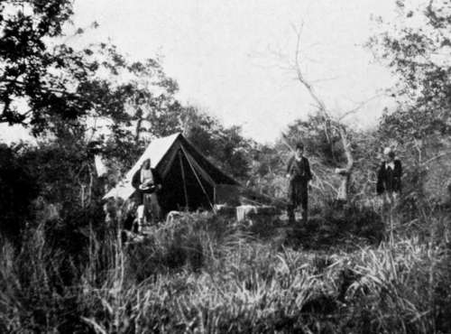 Our Camp In The Forest